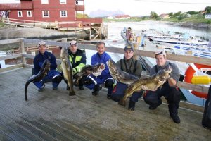norge2011-26_lbb.jpg