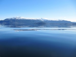 IMG_0258.jpg