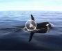 Orcas vor Hitra